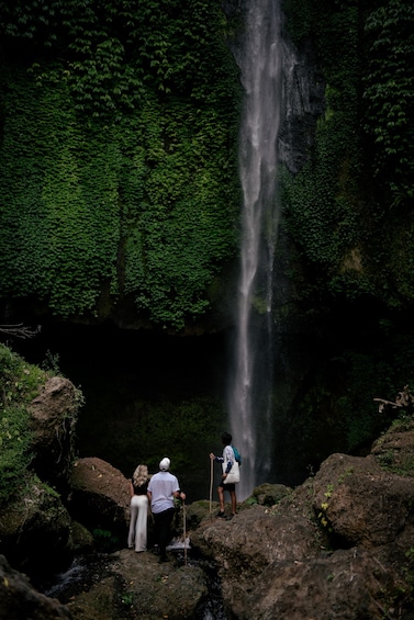 Bali:Explore 5 Waterfalls In Munduk With Trekking experience 1