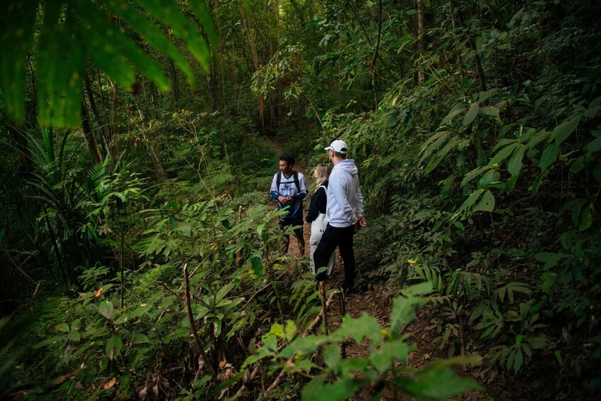 Picture 6 for Activity Bali:Explore 5 Waterfalls In Munduk With Trekking experience 5