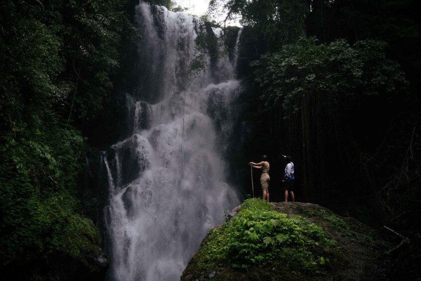 Munduk: Explore 5 Hidden Waterfalls on a Jungle Trek 1