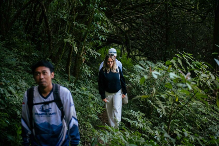 Picture 3 for Activity Bali:Explore 5 Waterfalls In Munduk With Trekking experience 2