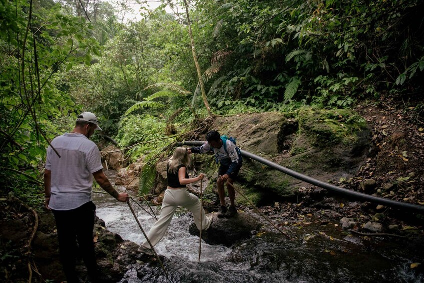 Picture 10 for Activity Munduk: Explore 5 Hidden Waterfalls on a Jungle Trek 4