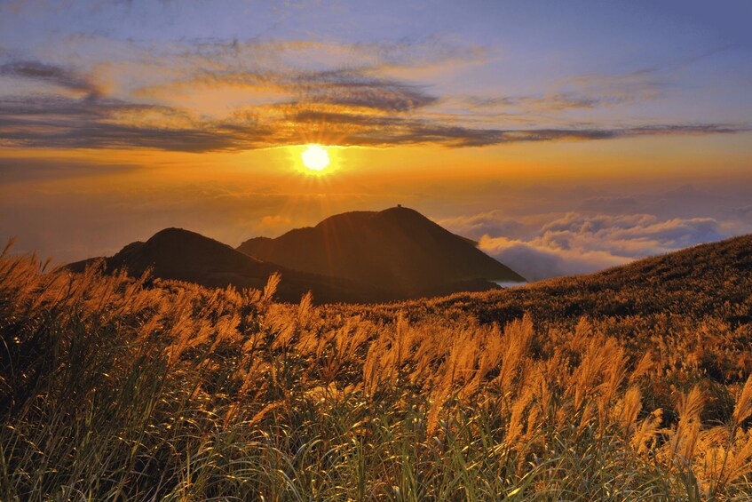 A sunset over mountains with a field of tall grass in the foreground. 1