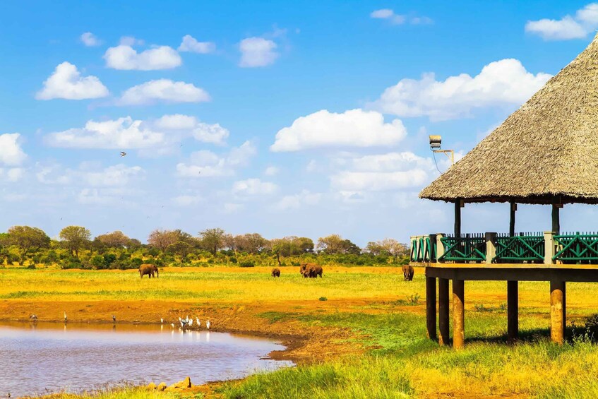 A thatched-roof structure with a green railing overlooking a savannah landscape with elephants and a water body. 1