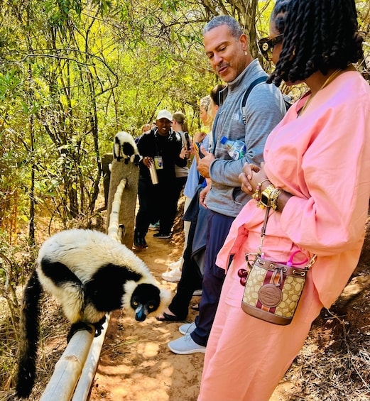 Picture 3 for Activity Antananarivo: Lemurs’ Park, Geysers & Waterfall Day Trip 4
