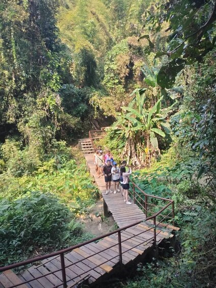 A wooden bridge in a lush, green forest with people walking on it. 4