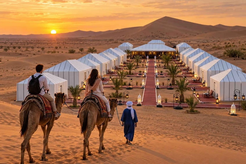 A desert landscape with tents and camels. 1