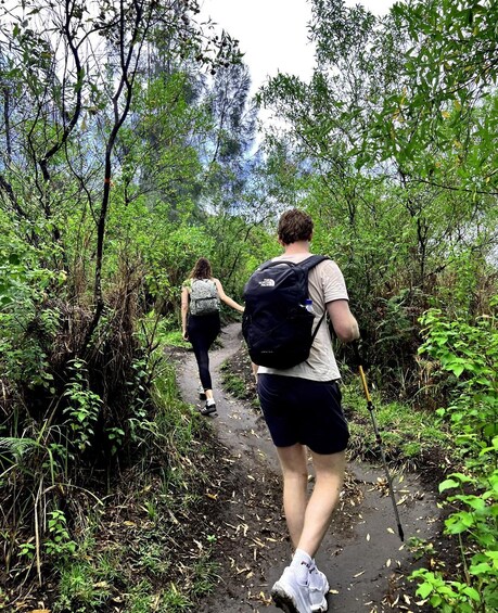 Two people hiking on a narrow trail surrounded by dense greenery. 5