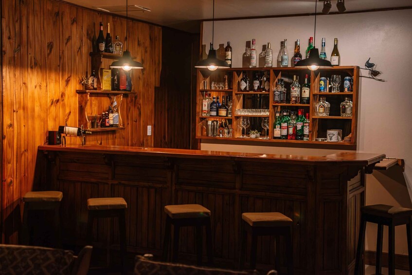 A bar with wooden walls and shelves filled with bottles. There are four stools and two hanging lights. 3