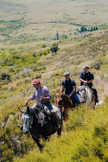 Three people riding horses on a grassy hillside with a hilly landscape in the background. 1