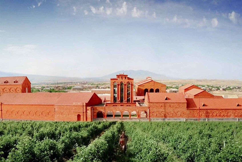 A vineyard with rows of grapevines and a large red building with arches in the background. 5