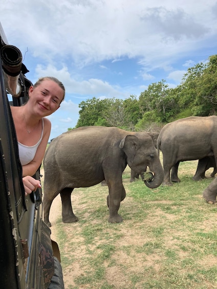 A person in a vehicle with elephants in a grassy field. 4