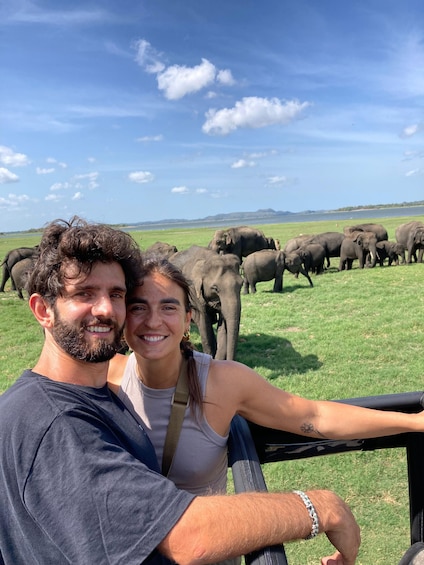 A person driving a vehicle with a herd of elephants in the background. 2