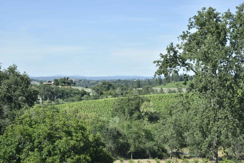 Picture 1 for Activity Napa Valley Wine Tasting Tour Private Customized 3