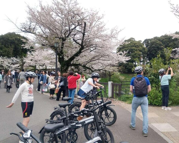 A group of people, some on bicycles, walking and standing near cherry blossom trees. 5