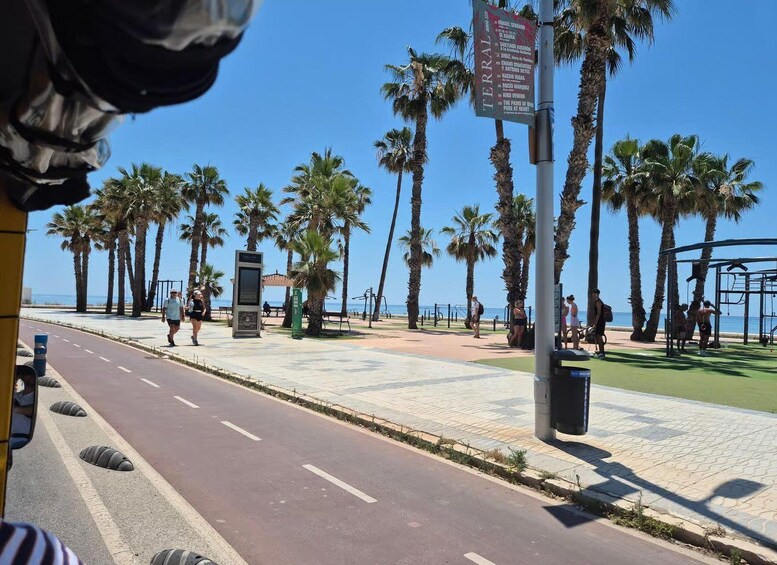 Un paseo marítimo con palmeras, un sendero peatonal y un cartel. 4