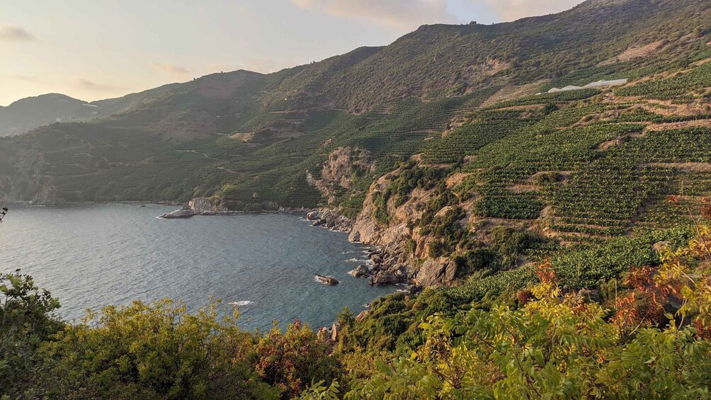 Picture 7 for Activity Gazipaşa: Full-Day Boat Tour with Lunch and Swim Stops 5