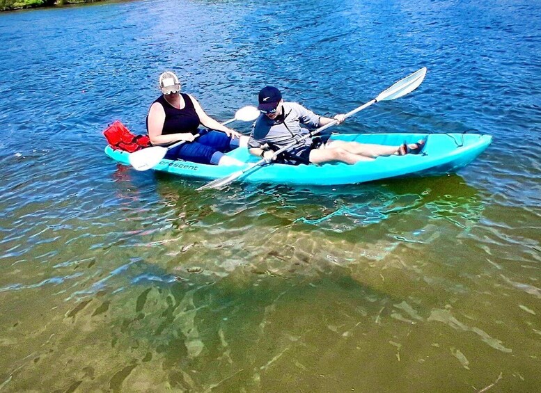 Manatee and Nature Tour of Ormond Beach 1