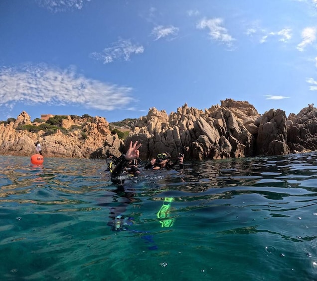 Picture 3 for Activity Costa Paradiso: Snorkeling among coves and seabeds 3