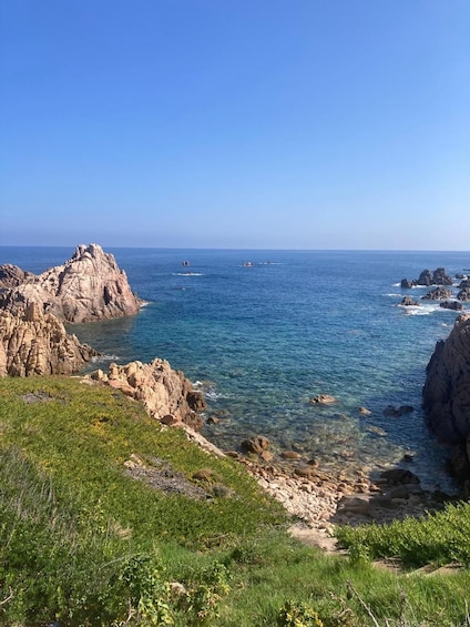 Costa Paradiso: Snorkeling among coves and seabeds 1