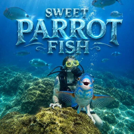 Picture 4 for Activity Side: Scuba Diving with Expert Diving Option 4