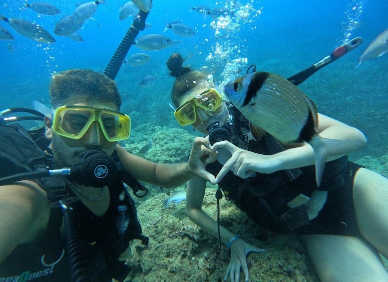 Picture 5 for Activity Side: Scuba Diving with Expert Diving Option 5