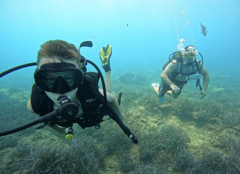 Picture 10 for Activity Side: Scuba Diving with Expert Diving Option 4