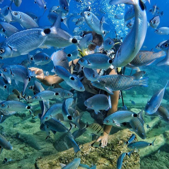 Picture 6 for Activity Side: Scuba Diving with Expert Diving Option 5