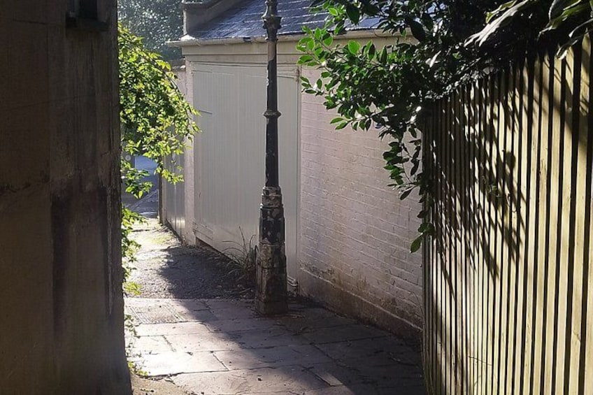 A narrow alleyway with a white fence, a tree, and a metal fence on the right. 3