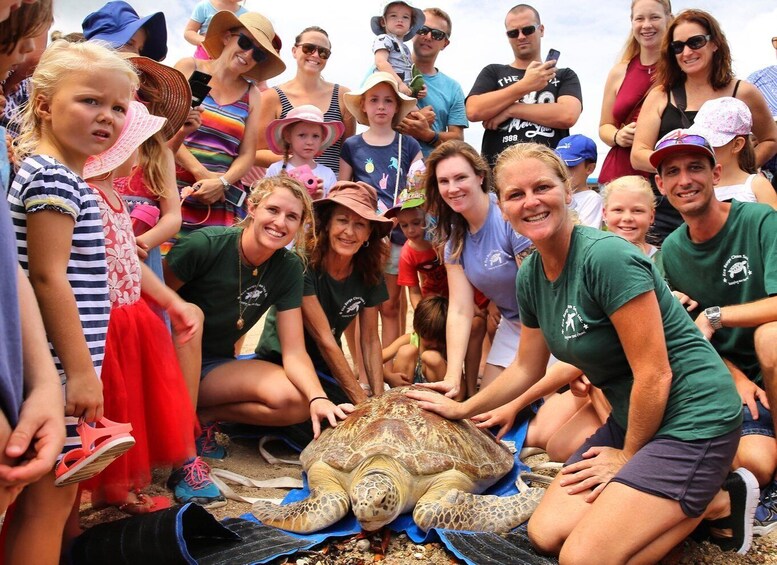A group of people, including children and adults, gathered around a sea turtle on a beach. 4