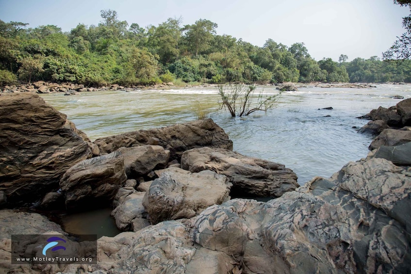A river with rocky banks and dense green foliage in the background. 2