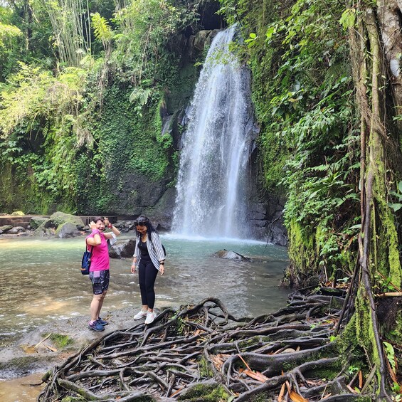 A waterfall in a forested area with two people standing by the water. 3
