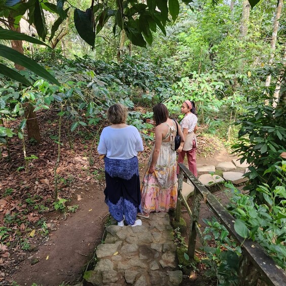 Three people walking on a stone path in a forested area. 2