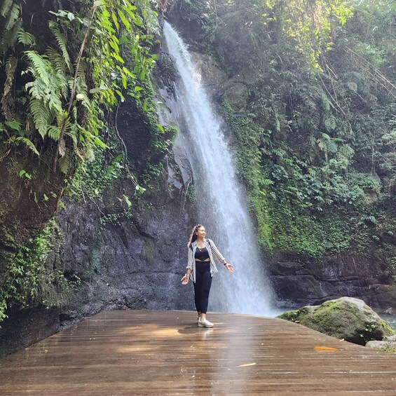 A person standing on a wooden platform facing a waterfall surrounded by lush greenery. 4