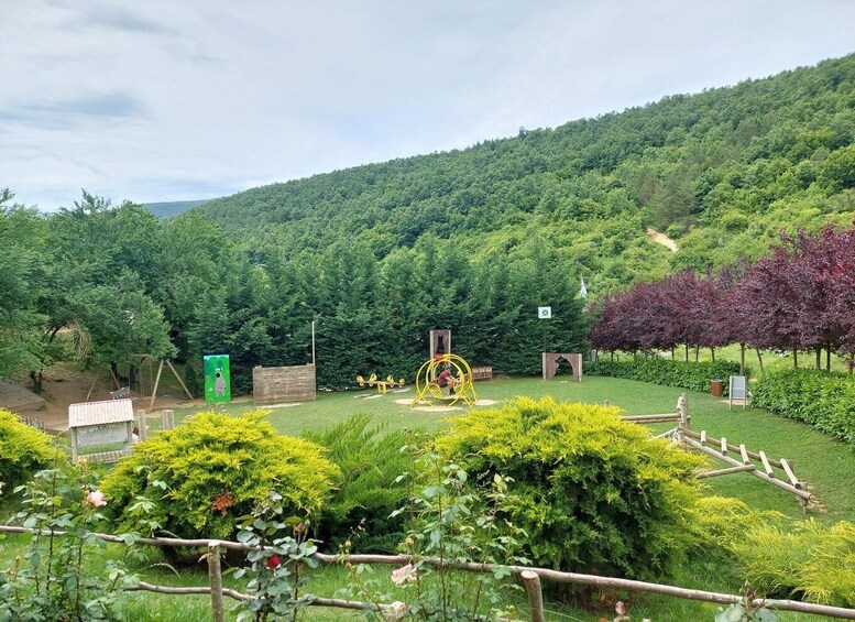 Picture 1 for Activity From Skopje: Kosovo in a Day – Prishtina, Monastery & Bears 1