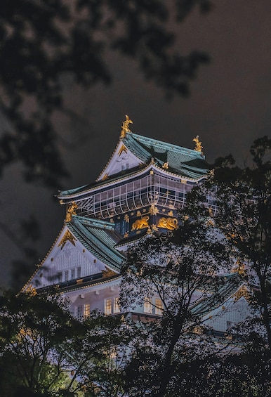 A traditional Japanese castle at night, illuminated with golden lights, surrounded by trees. 2