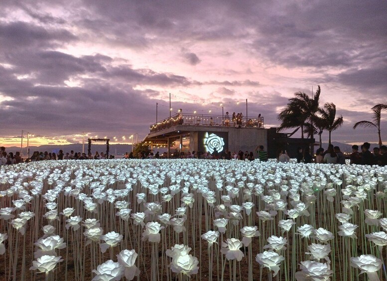 A field of white flowers at sunset with a building in the background. 1