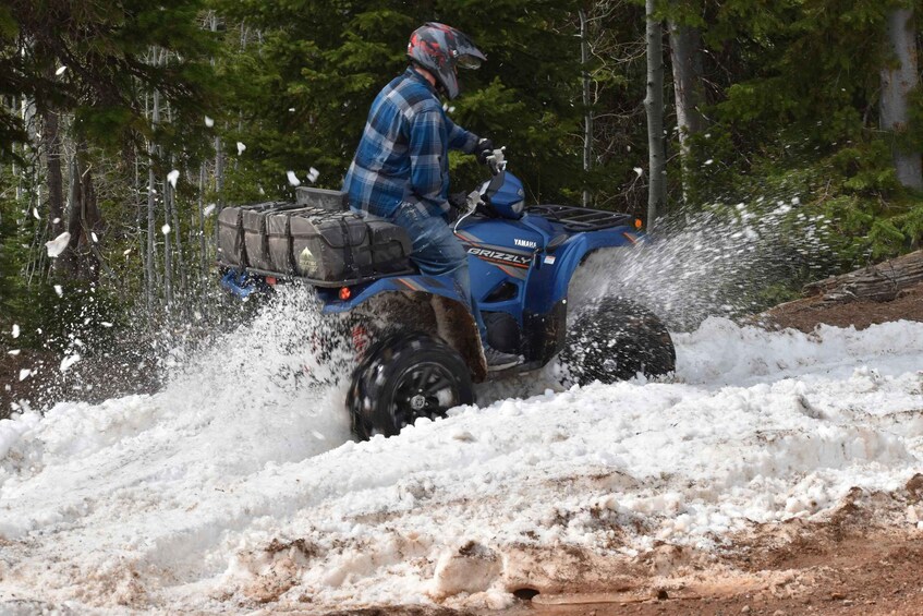 A person riding a blue ATV through a snowy area with trees in the background. 5
