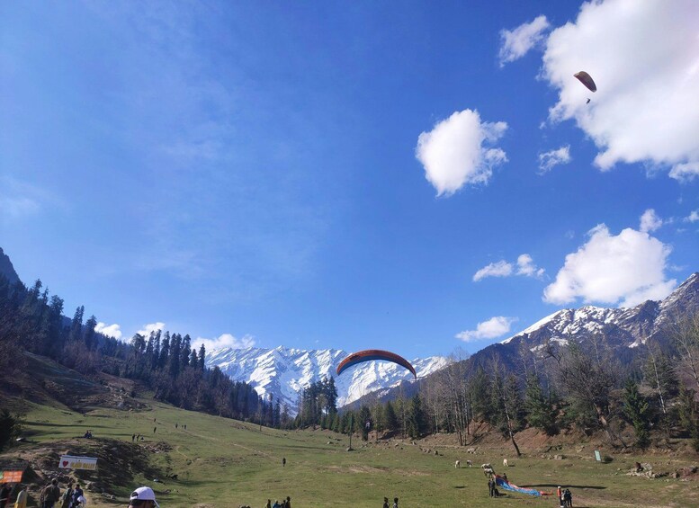 A mountainous landscape with a paraglider in the sky, a grassy field, and snow-capped mountains in the background. 3