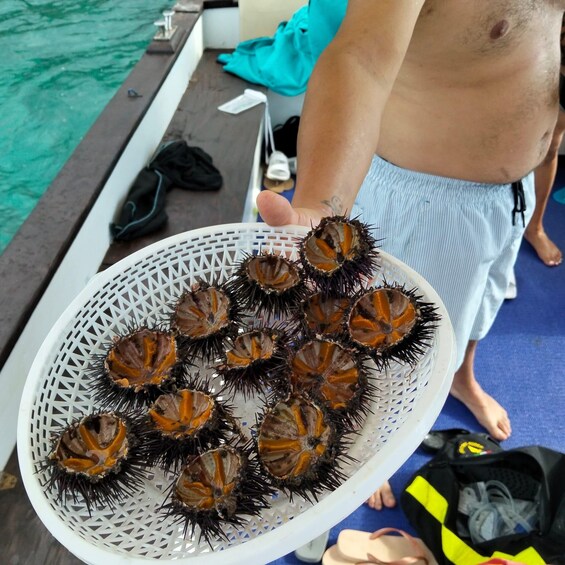 Picture 1 for Activity Tropea Capo Vaticano: Boat Tour with Aperitif and Swimming Stops 4