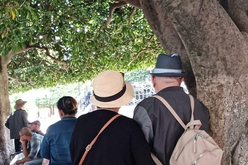 A group of people walking under a tree, some carrying bags. 2