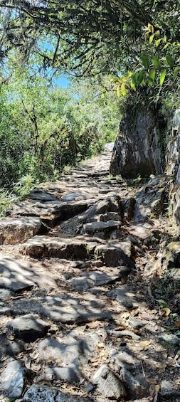 Picture 8 for Activity Machupicchu: Inti Punku Entry ticket 5