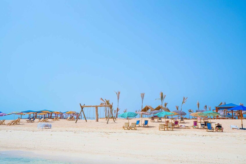 A beach with sun loungers, umbrellas, and palm trees. 5