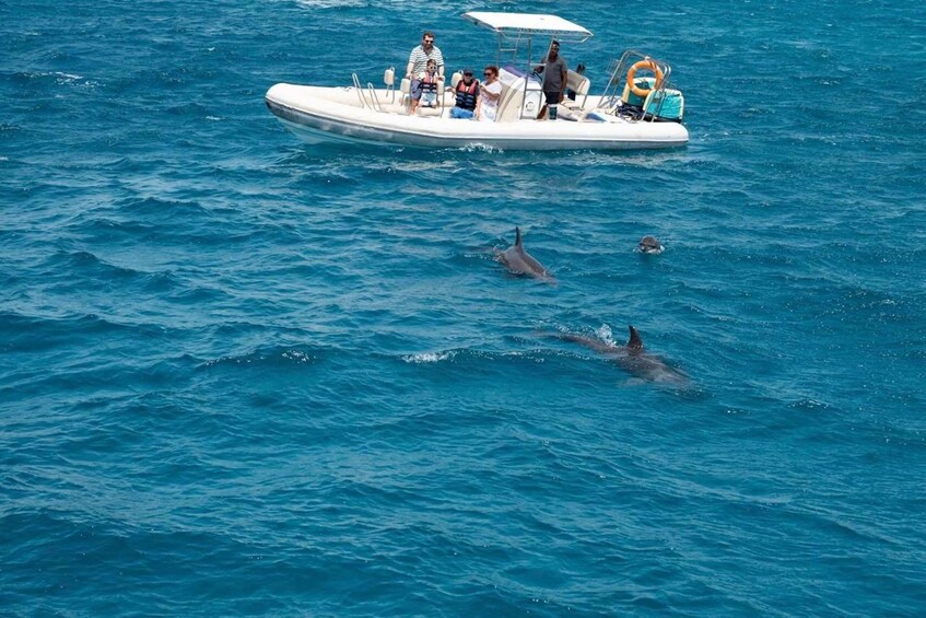 A boat with people on it and dolphins swimming nearby. 2