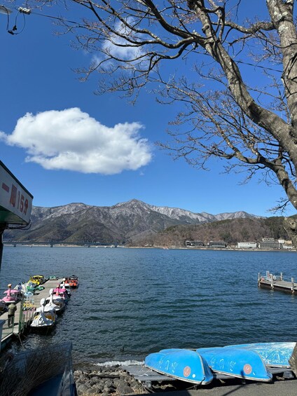 A lake with boats docked, mountains in the background, and a clear sky. 2