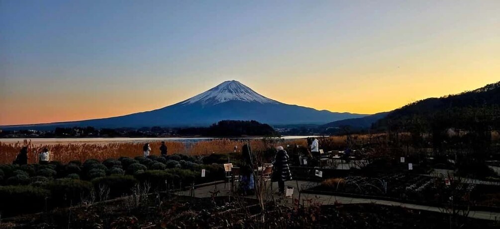 A snow-capped mountain, a body of water, and a park with people and trees. 4