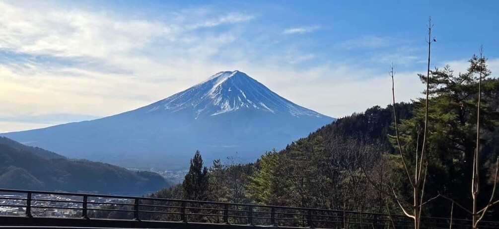 A snow-capped mountain, likely a volcano, with a forested foreground and a clear sky. 5