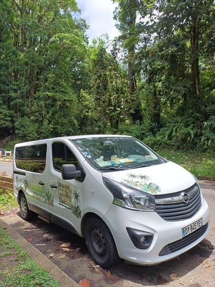 A white van parked on a roadside with dense green foliage in the background. 2