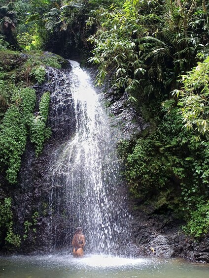A waterfall in a lush, green forest. 3
