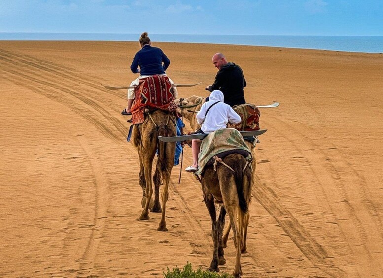 Picture 16 for Activity Agadir/Taghazout : Sandboarding & Sunset Camel Ride with BBQ 5