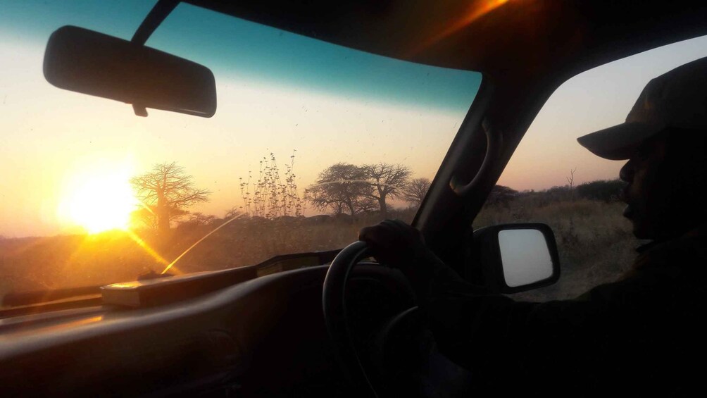A vehicle's interior with a view of a sunset and trees outside. 5
